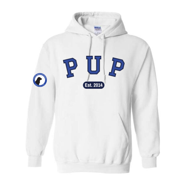 Gildan Unisex Heavy Blend Hooded Sweatshirts - Printed Logos Thumbnail