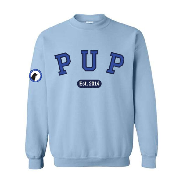Gildan Unisex Heavy Blend Crewneck Sweatshirt - Printed Logos Thumbnail