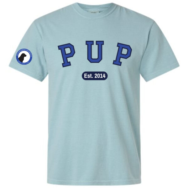 Comfort Colors Unisex Garment-Dyed Heavyweight T-Shirt - Printed Logos Thumbnail