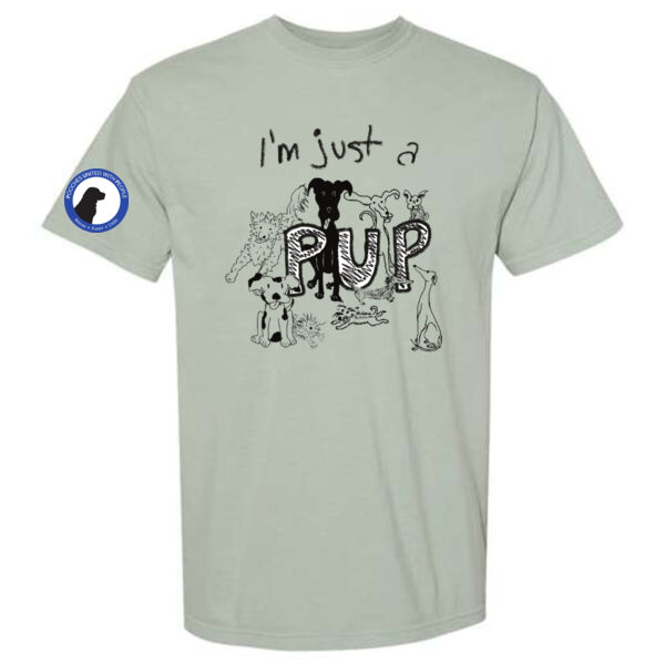 Comfort Colors Unisex Garment-Dyed Heavyweight T-Shirt - Printed Logos Thumbnail